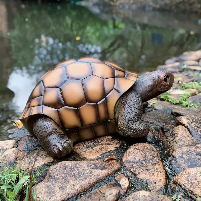 【輸入品】オブジェ 亀 癒し リアル 造形 かわいい インテリア 置物