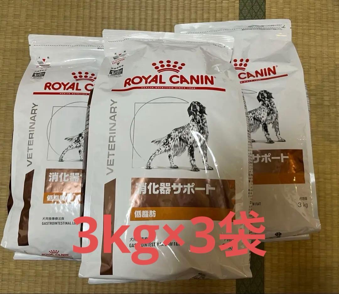  CANIN 消化器サポート 低脂肪 3kg×3袋