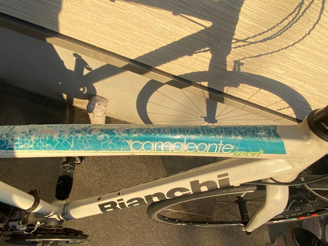 BIANCHI camaleonte sport due サイズ47 ビアンキ