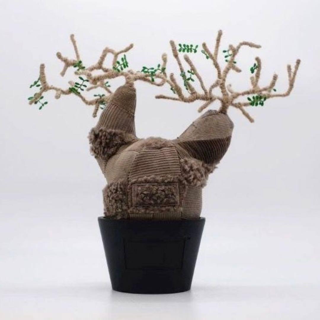 ぬいぐるみ Botanize Pachypatchy Large size