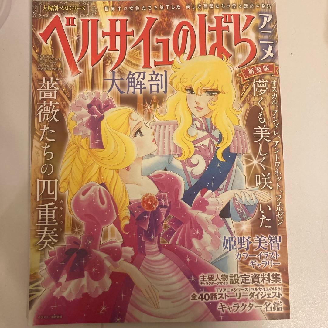 ベルサイユのばら グッズまとめ売り ⚠︎︎商品説明文必読⚠︎︎