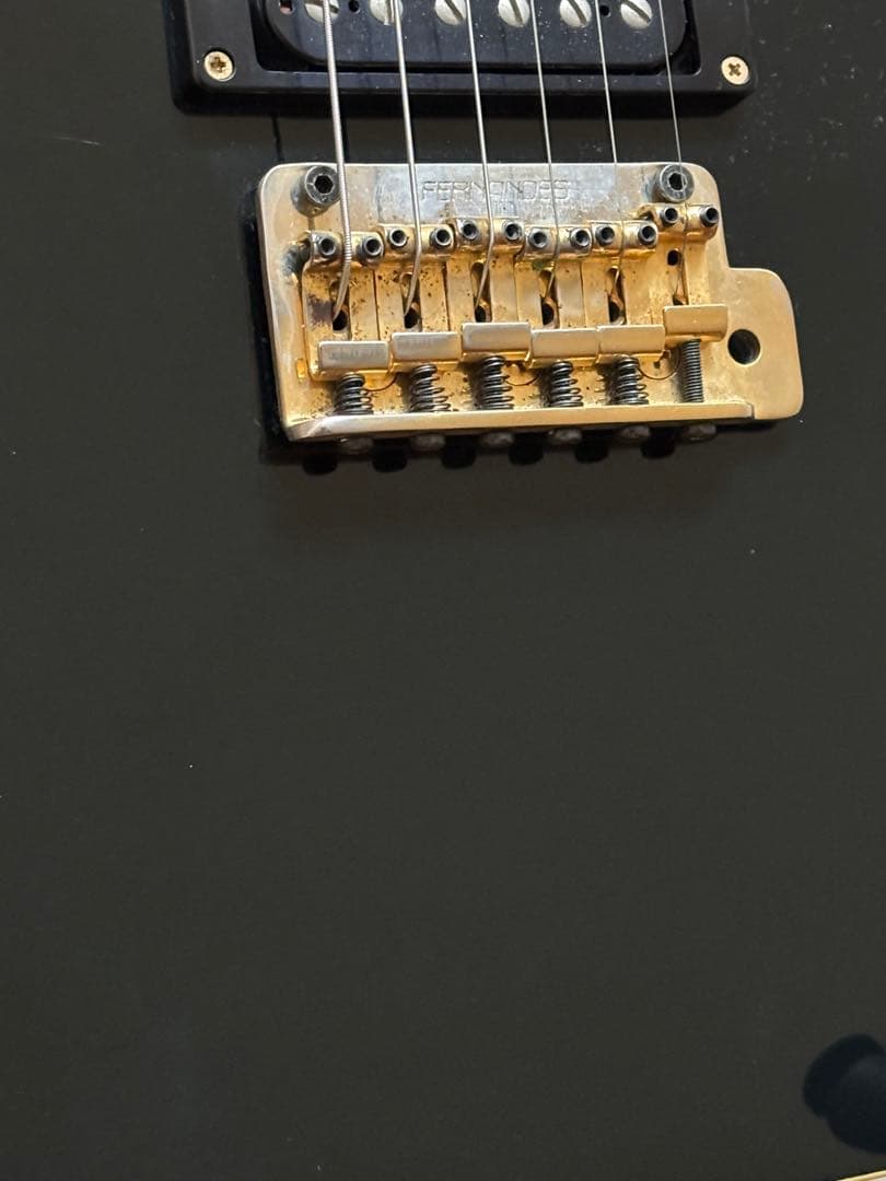 Fernandes フェルナンデス　TEJ 55g 中古