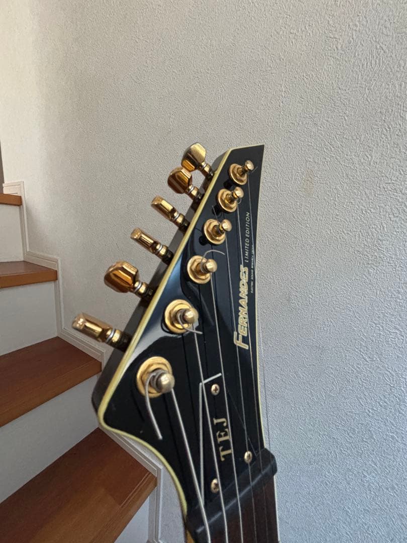 Fernandes フェルナンデス　TEJ 55g 中古