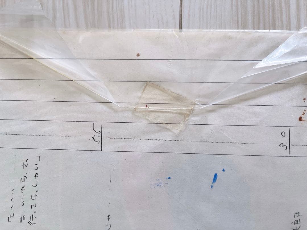 キャプテンハーロック　セル画　ハーロック　大山まゆ　松本零士