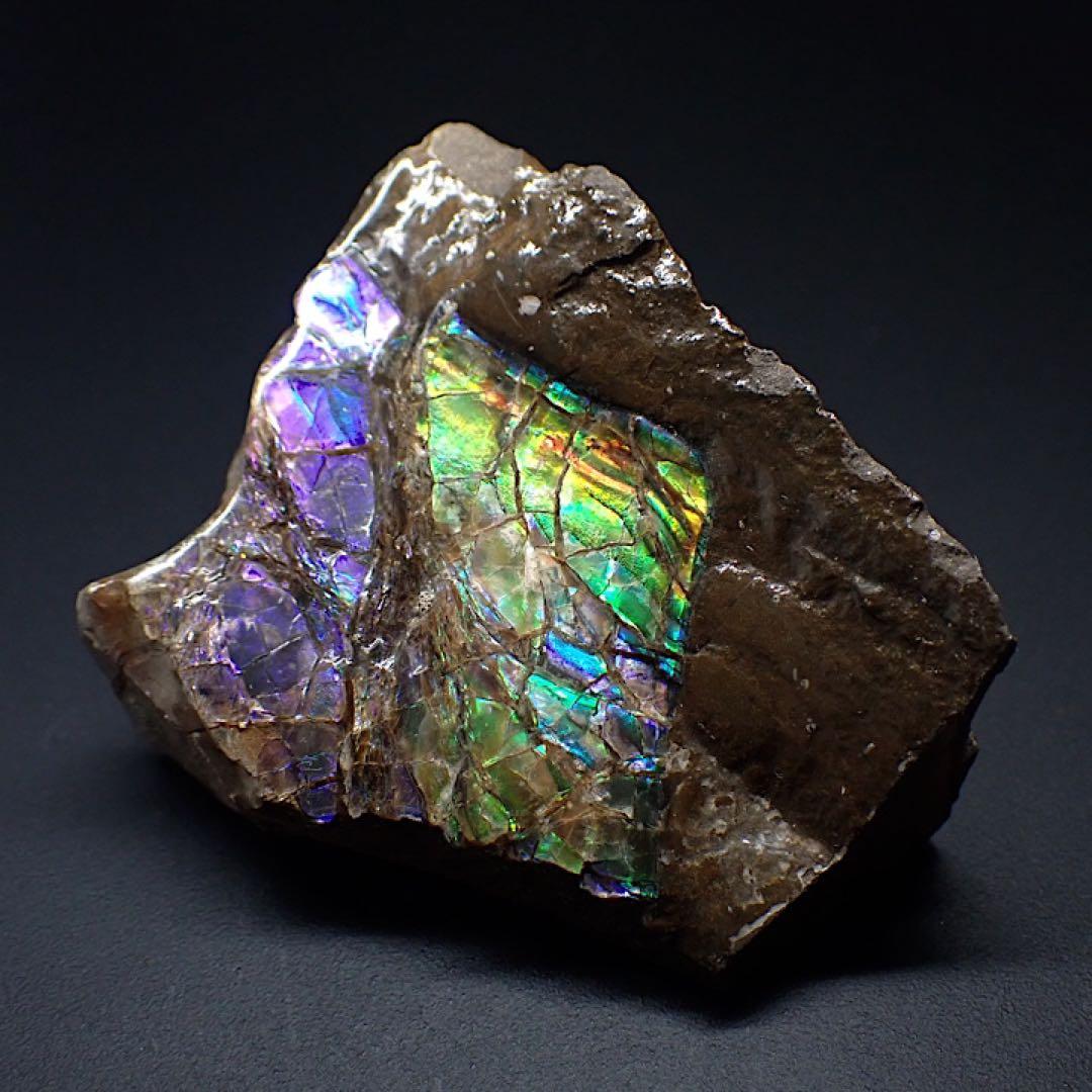 【カナダ/a産】アンモライト(プラセンチセラス)