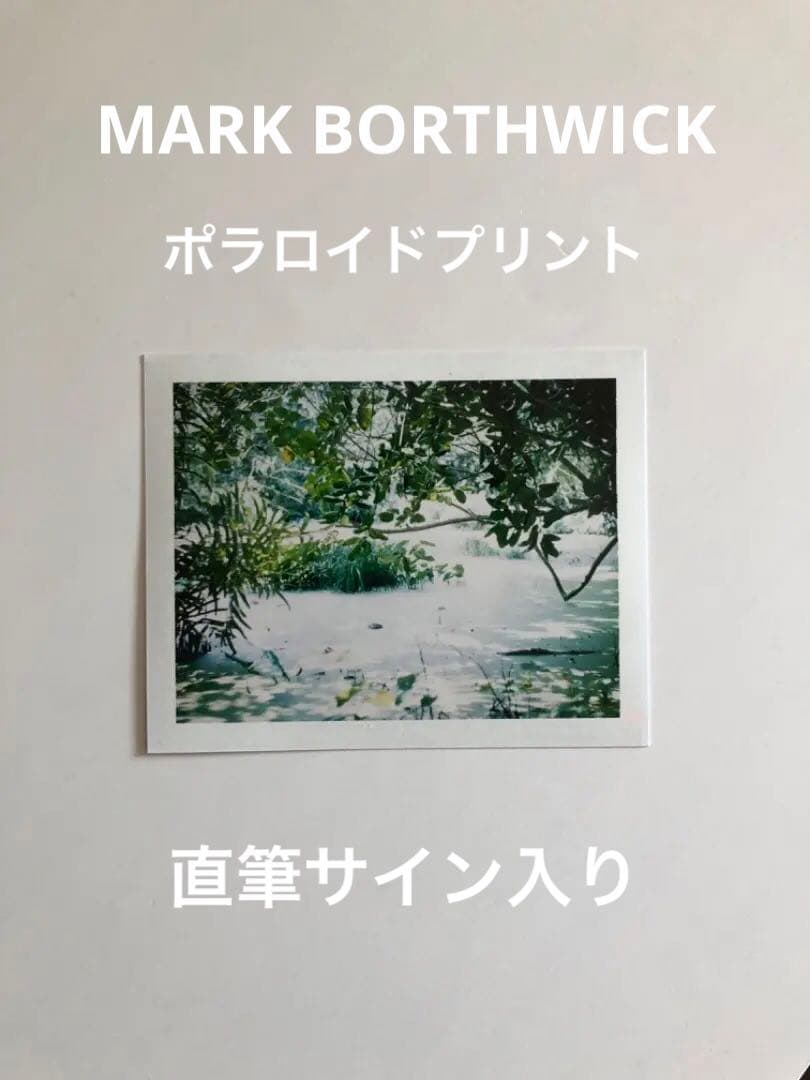 【超貴重】Mark Borthwick ポラロイドプリント《直筆サイン入り》