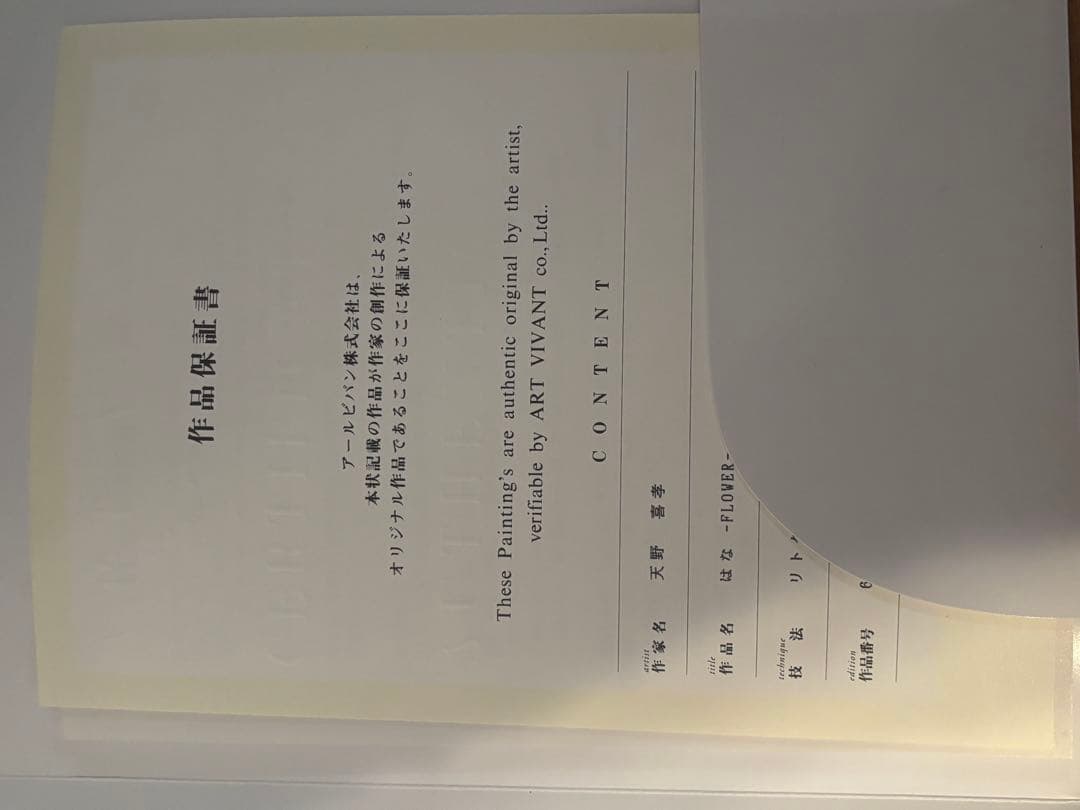 天野喜孝　はな　リトグリラフ　保証書付き