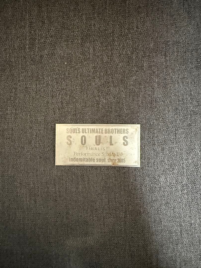 SOULS ソウルズ ギンバルサポートベルト