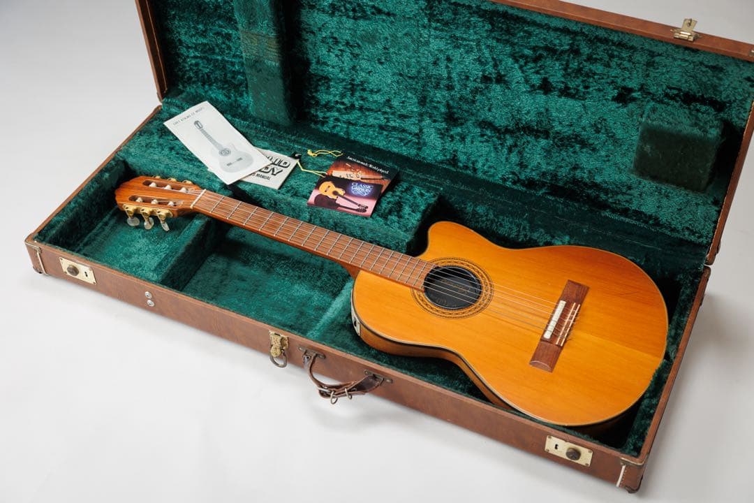 ギター Gibson Chet Atkins CE