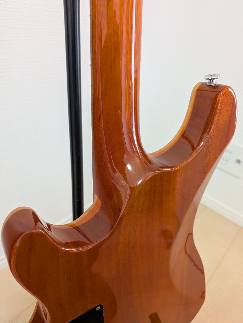【美品・動作良好】SCHECTER RJ-1-24-TOM AMB　シェクター