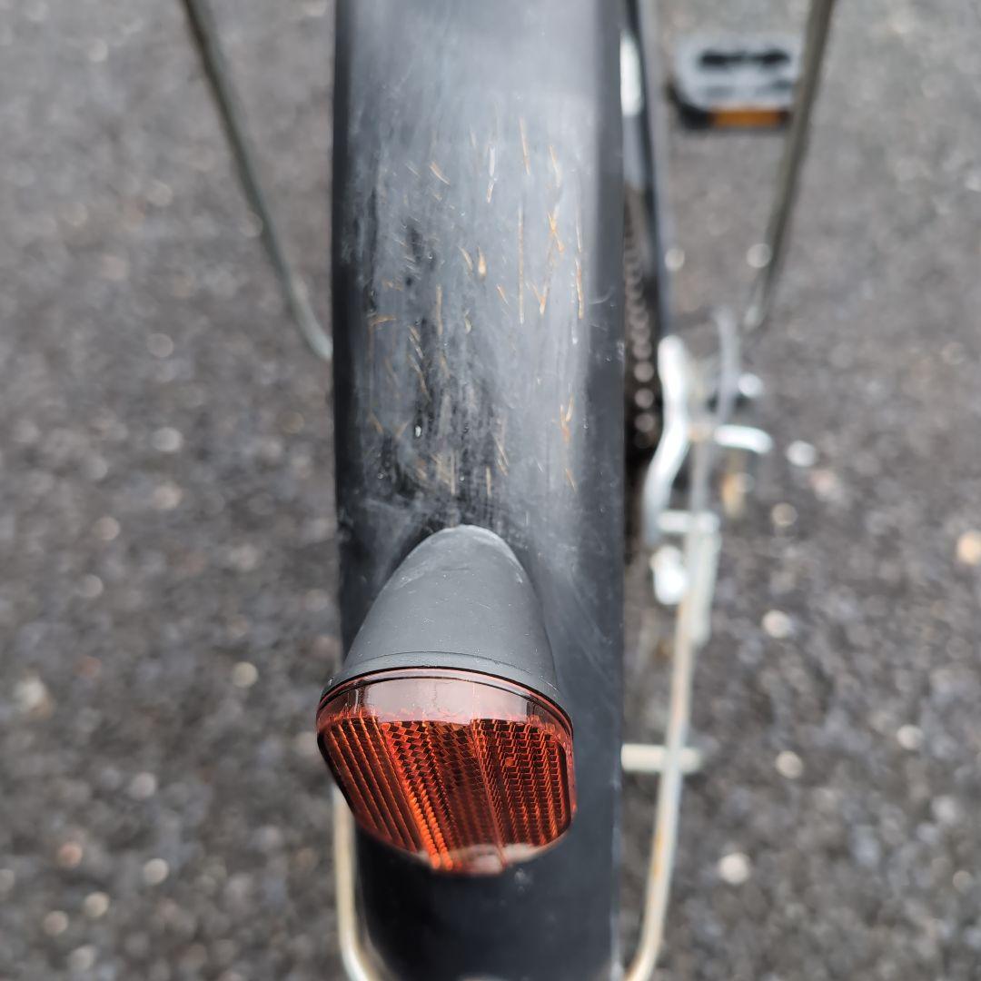 「Renami」【手渡し限定】ガクチャリ29インチ