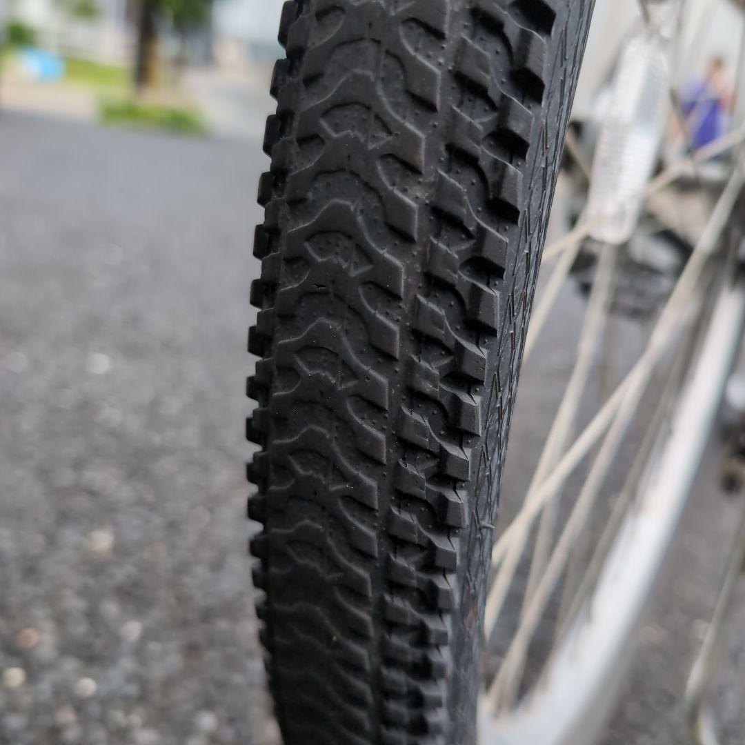 「Renami」【手渡し限定】ガクチャリ29インチ