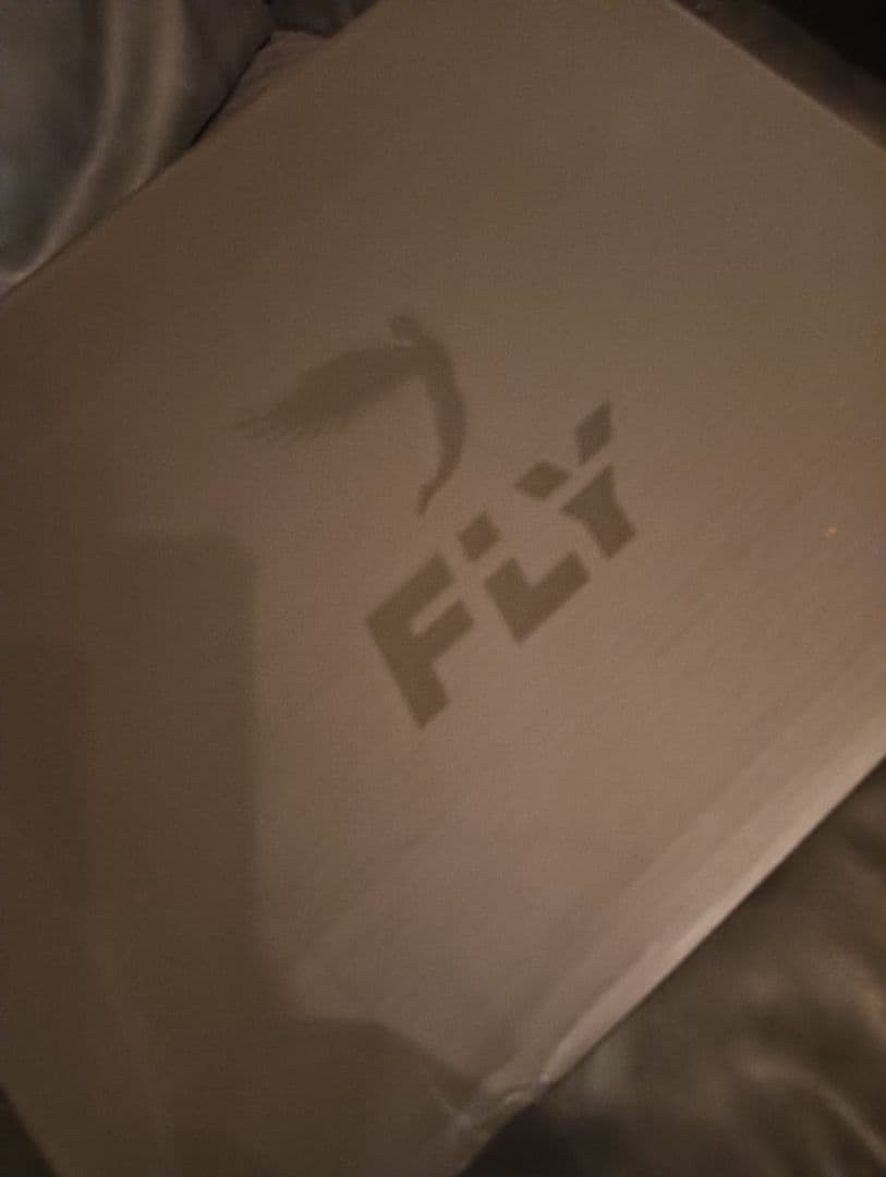 ＦＬY フライ　ボクシングシューズ　　新品未使用 タグ箱付き