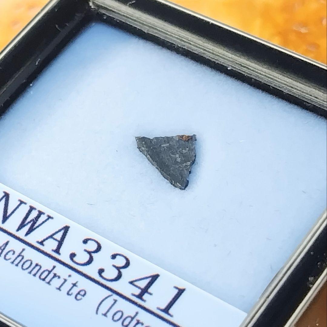ウルトラ希少ロードラナイト✨NWA3341原始的無球粒隕石