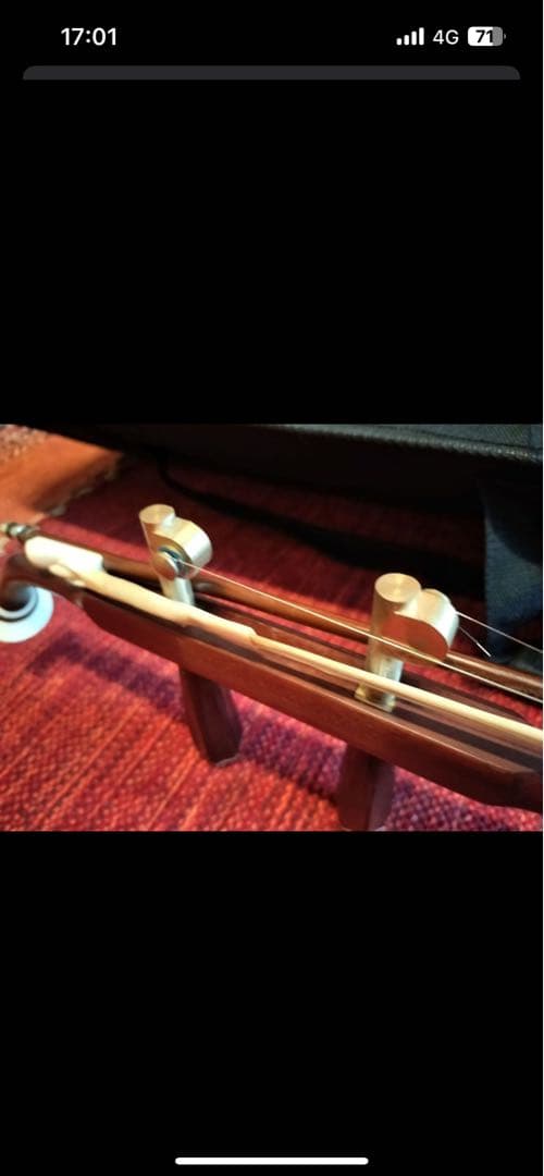 付属品充実！二胡本体と一式 ケース・教本DVD付き