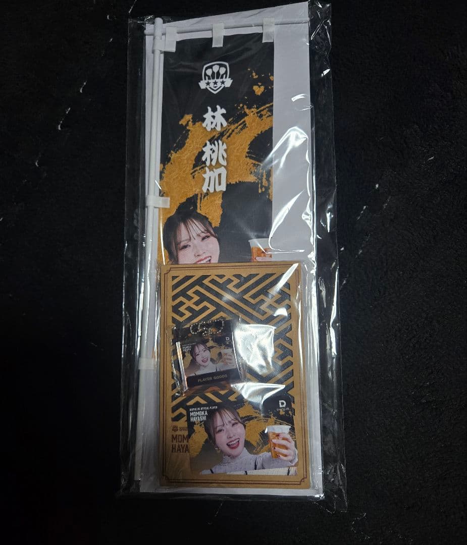 日本ダーツ祭り 2025 DARTSLIVE PLAYER SET 林桃加