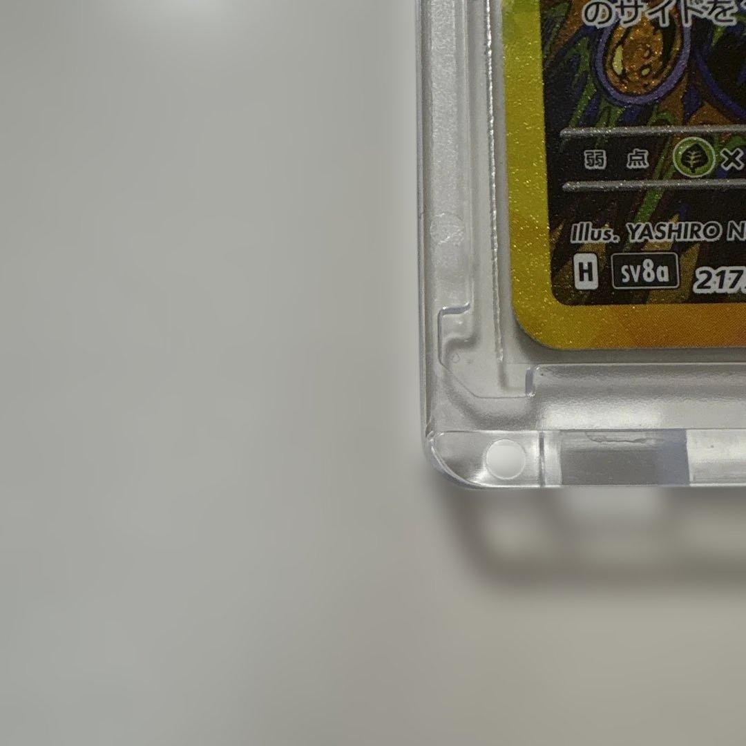 Wまとめ買い！！ブラッキーex SAR テラスタルフェス