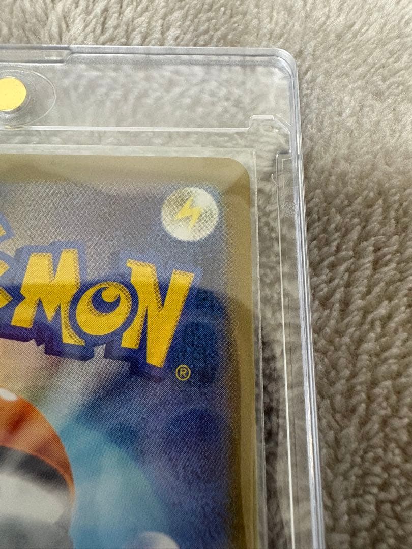 Wまとめ買い！！ブラッキーex SAR テラスタルフェス