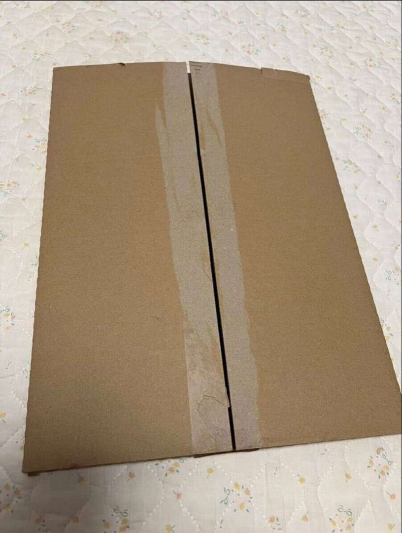 週マガラブコメヒロイン総選挙50名限定当選品の複製原画