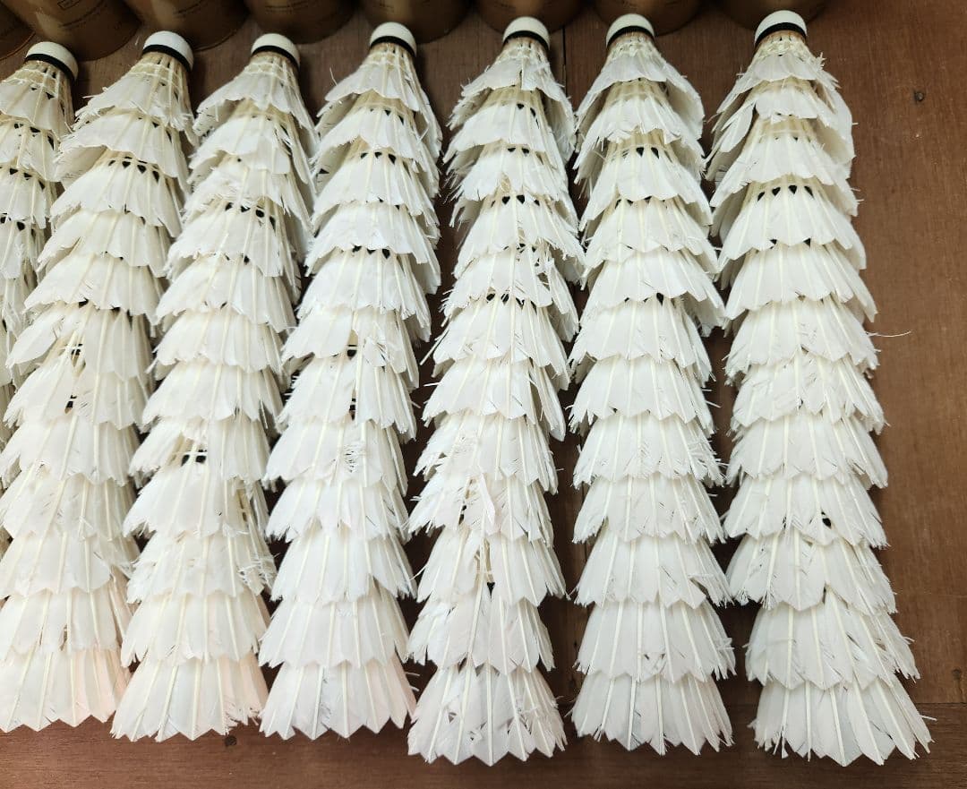 【第1種検定球】リーニン FA+500 中古シャトル 120球（10ダース）