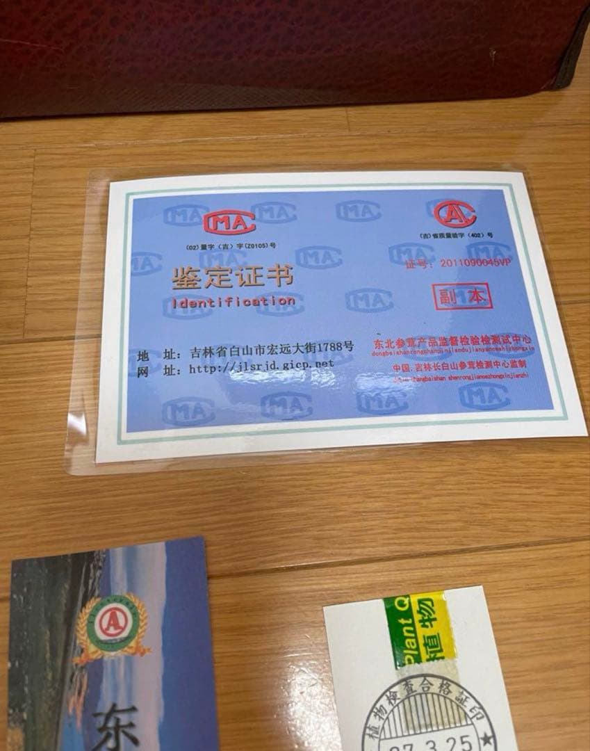 鑑定書付き 中国山参人参　置物　飾り物　高麗人参 シリアル付き