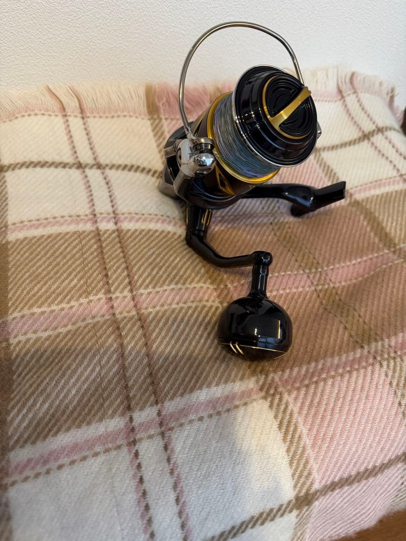 シマノ　SHIMANO/ 19 STELLA SW 8000HG-C 送料込