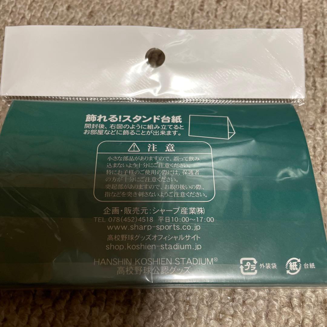 あ) 89,91回甲子園選抜高校野球記念グッズ セット
