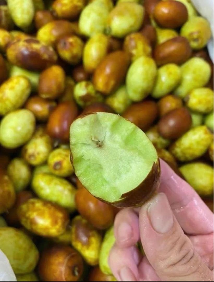 今秋新品入荷☆常温発送【新鮮なつめ約2000g】日本国産新鮮脆冬棗