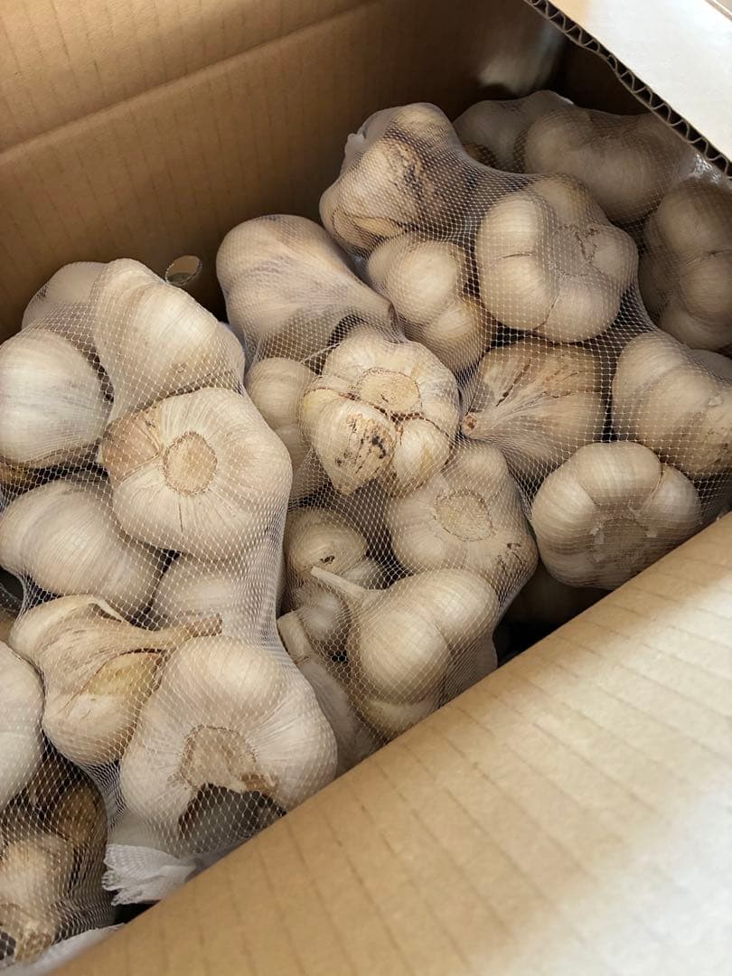 新物　青森県にんにく5Kg 2L早い者勝ち