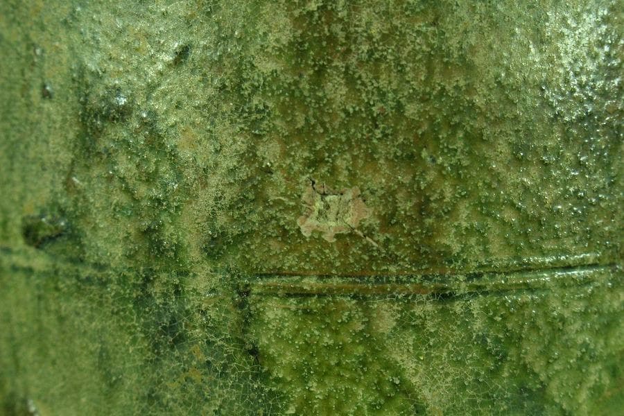 中国美術 緑釉 菌 後漢 時代物(K-A357)