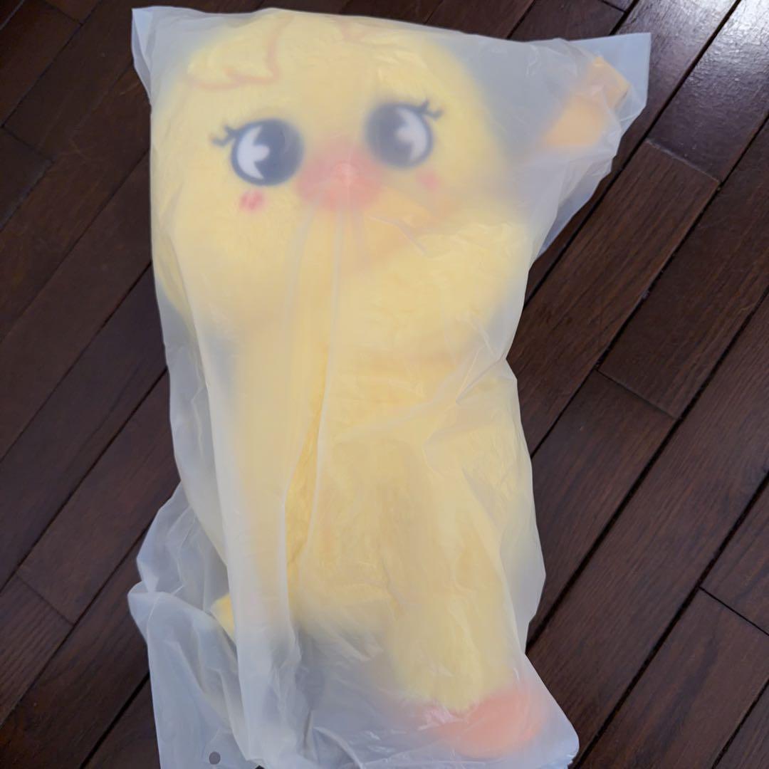 Straykids POPUPcelebrATE SKZOO BAG ポガリ