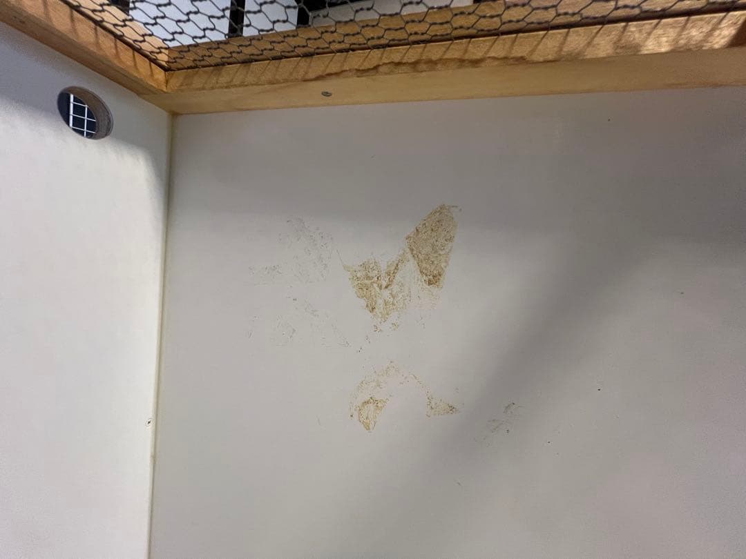 Ageha180センチ大型爬虫類ケージ FandK