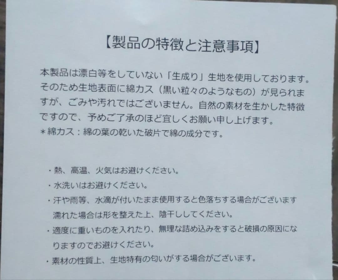Ken Yokoyama in武道館 貴重3点セット（バッグ、木札、シューズ）