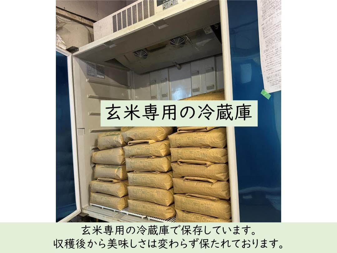 20kg　玄米食に最適「はるみ」自然栽培米　農薬不使用　玄米