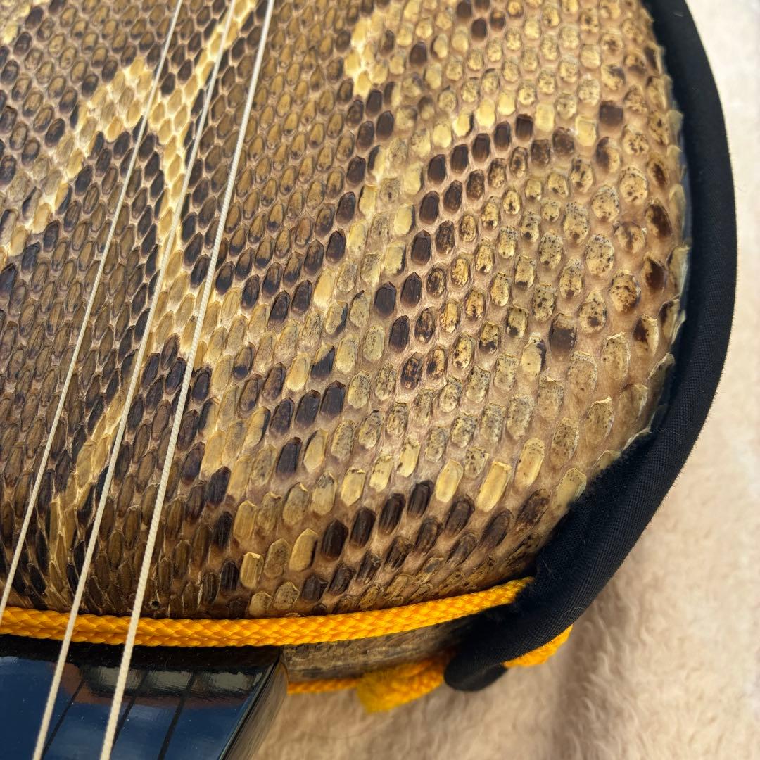 沖縄三線 蛇 脱皮 本革製