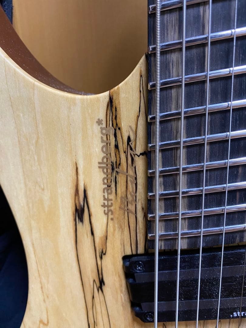 Strandberg Boden J7Custom 7弦　エレキギター