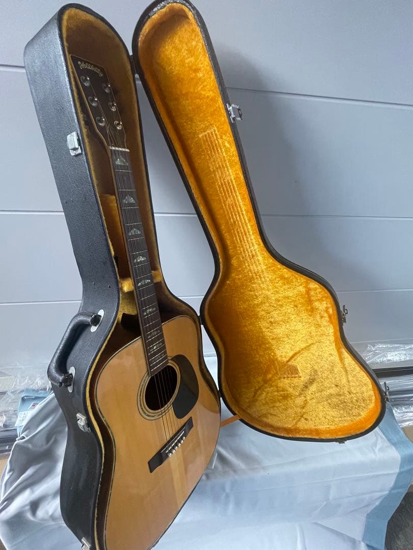 Hillbilly アコースティックギター 。ハードケース付き