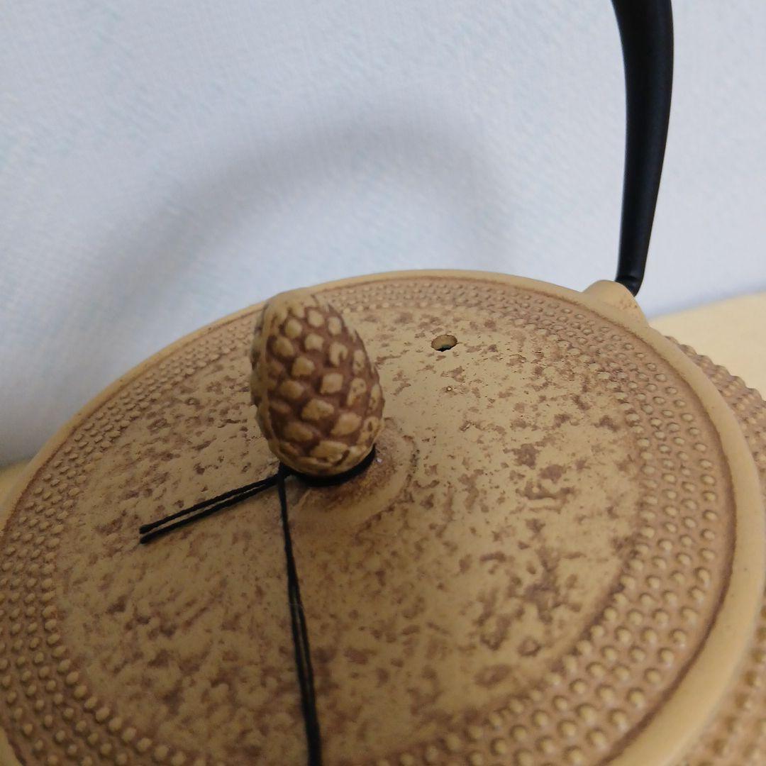 南部鉄器　鉄瓶0.6L ROJI ASSOCIATES