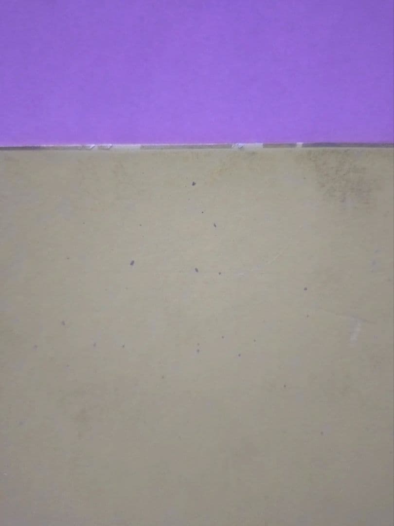 桜井浩子&佐原健二&西條康彦 直筆サイン色紙&ウルトラQ伝説 : 日本初の空特…