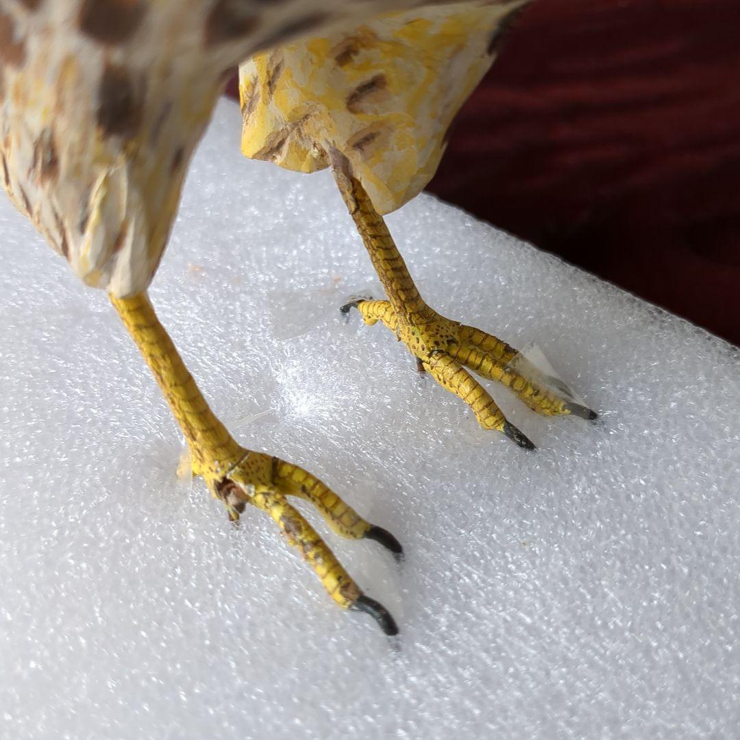 バードカービング　チョウゲンボウ