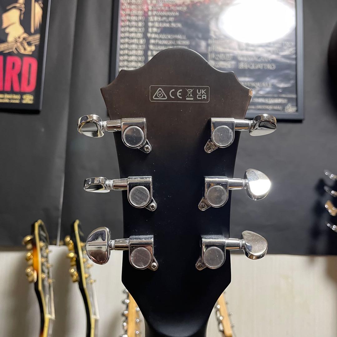 【hamm3】Ibanez AS53 TKF