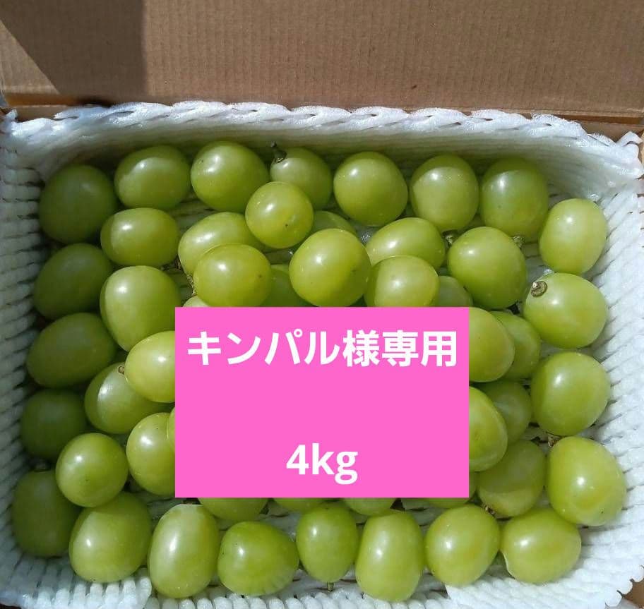 ☆朝採り農家直送☆シャインマスカット☆大粒　厳選☆大粒　箱込み4kg 新鮮☆