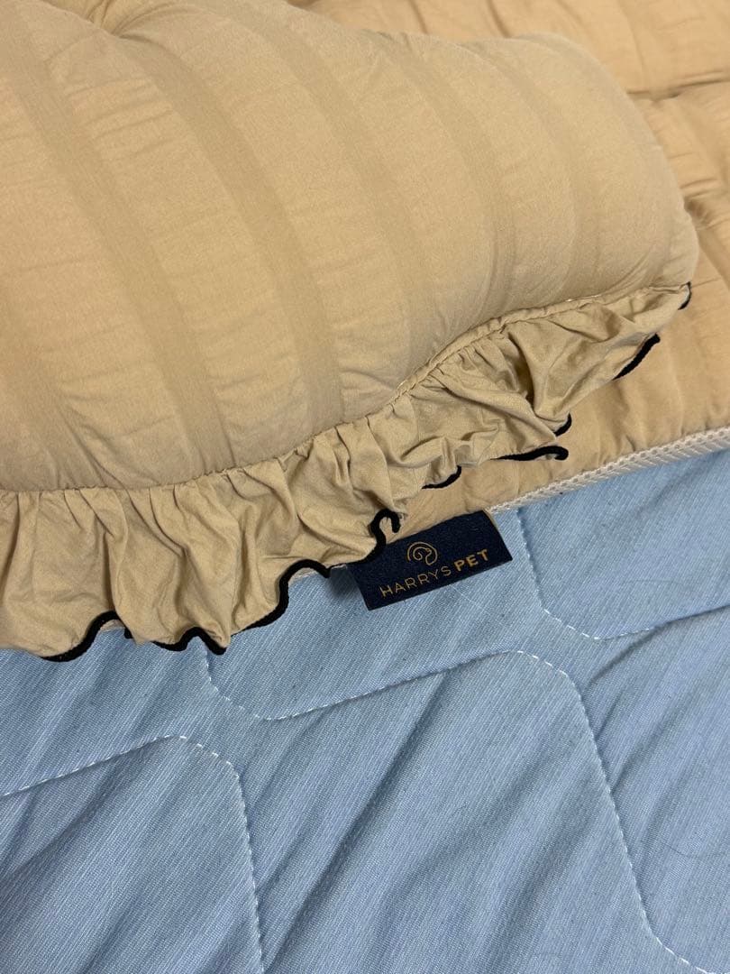 エアバギー DOME3ラージサイズ レインカバークッション付き