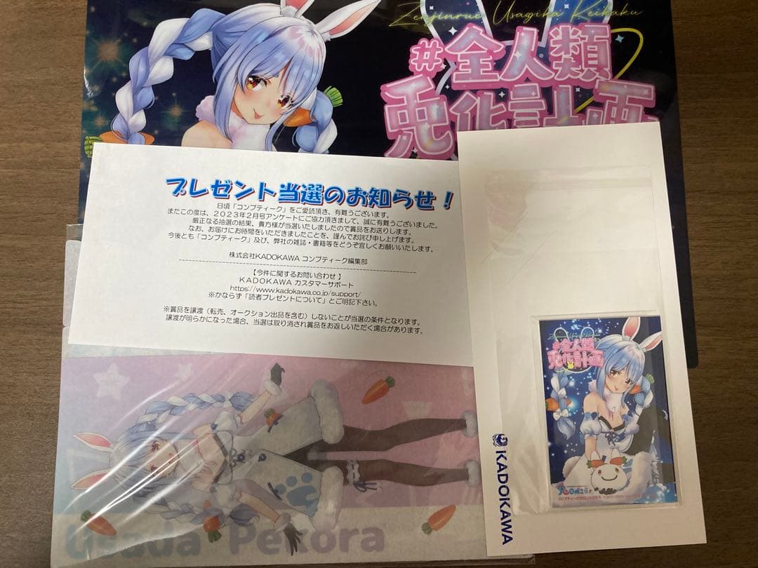 激レア　コンプティーク2023年2月号 抽選特典 兎田ぺこら