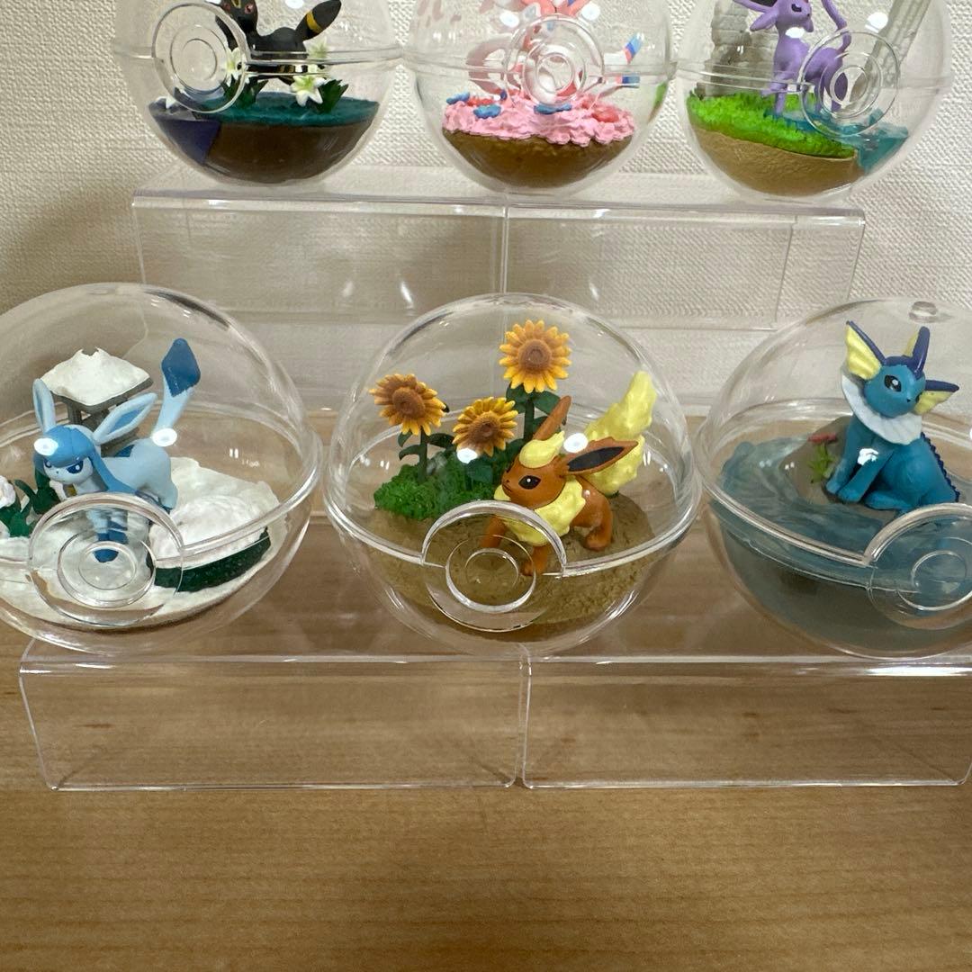 ポケモン　テラリウムコレクション　ブイズ