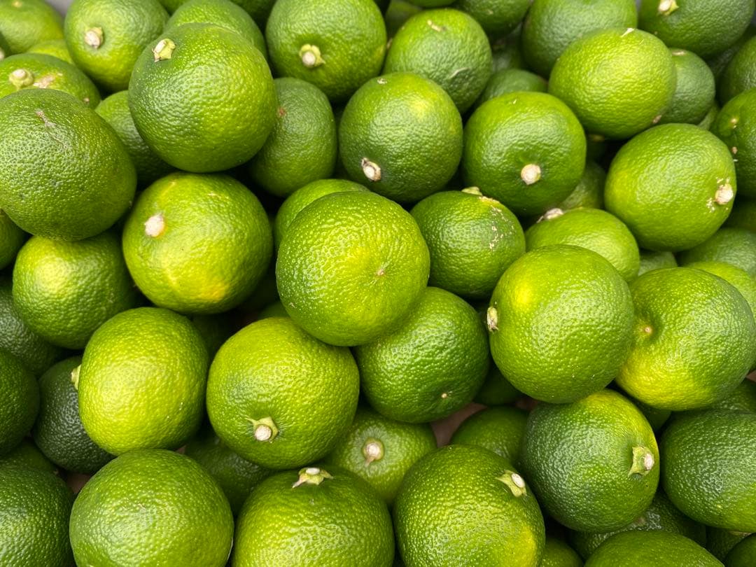 徳島県神山町産すだち《冷蔵貯蔵》5キロ　キズ・色ムラあり　黄緑色になります。②