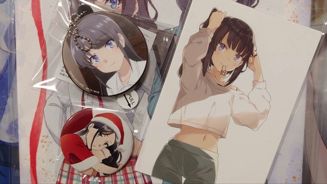 青春ブタ野郎はサンタクロースの夢を見ない