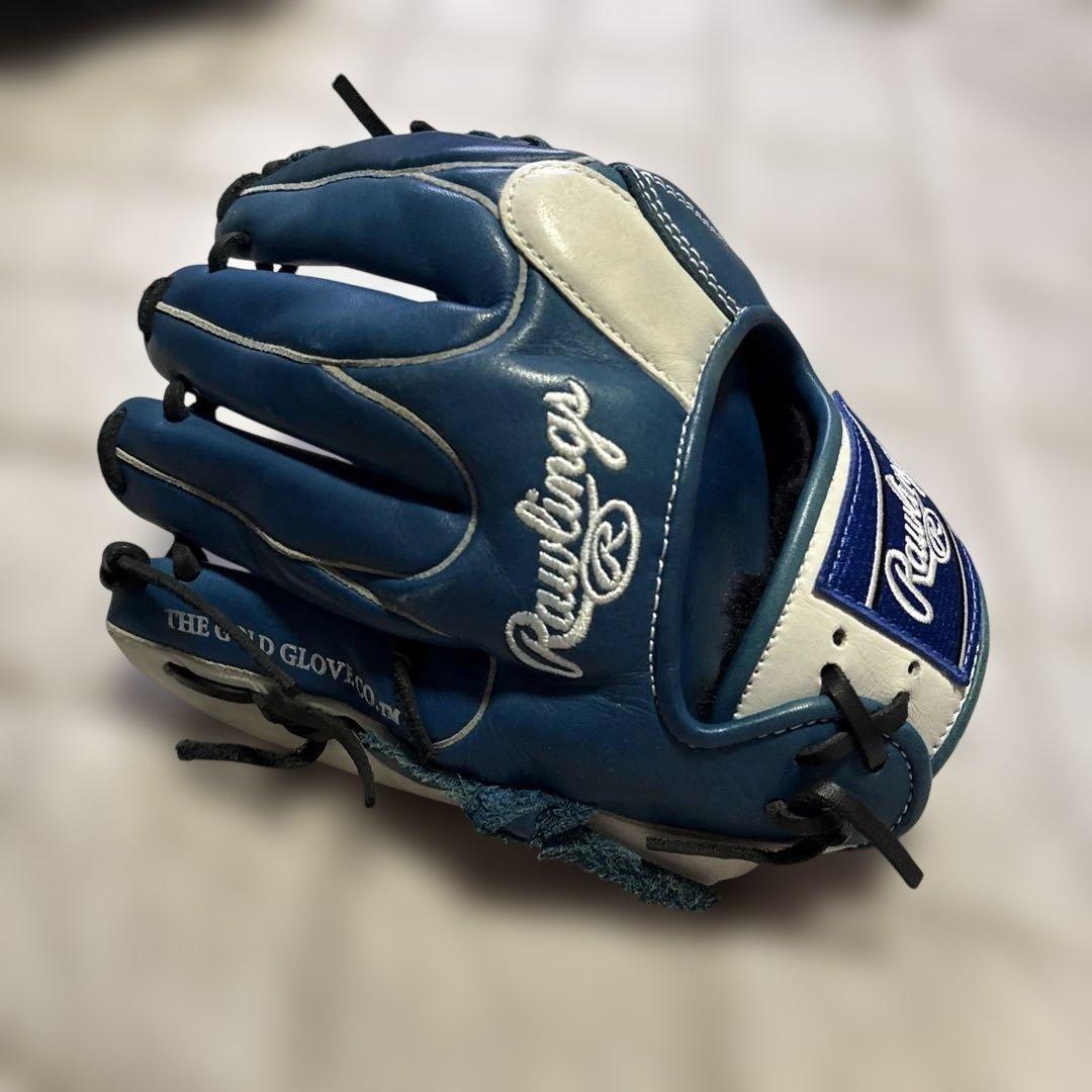 Rawlings 軟式用グローブ Dual Palm 青白