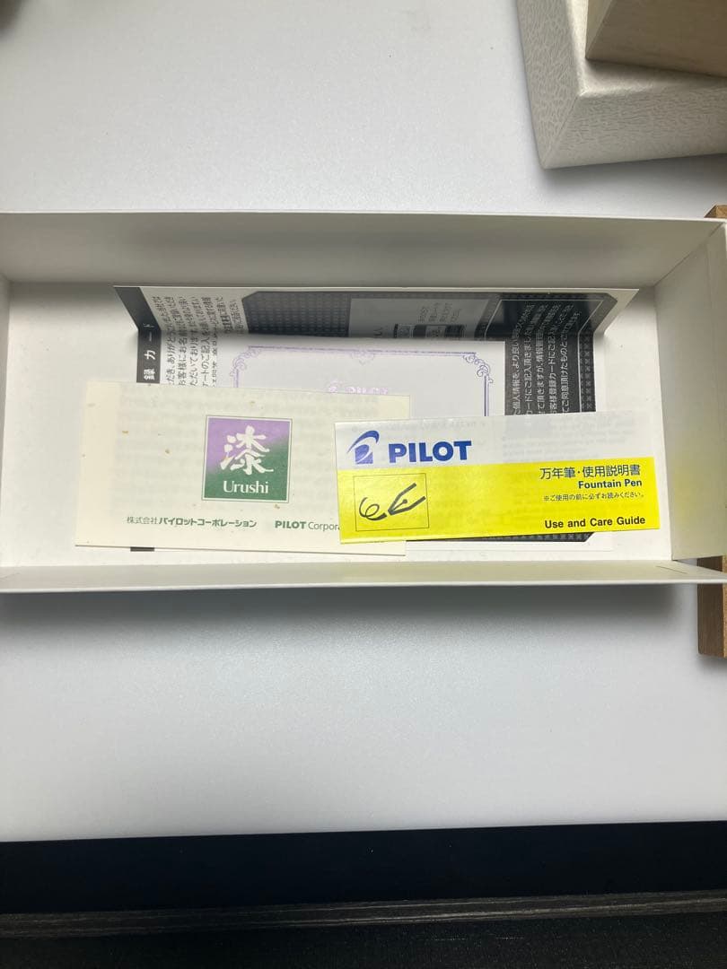 Pilot　パイロット 平蒔絵　万年筆 葡萄　F（細字）