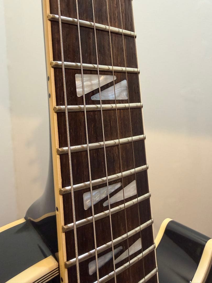 CoolZ レスポールカスタム FUJIGEN